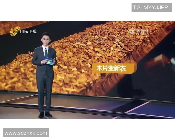 聚焦CSGOLNG实力分析探讨团队表现与未来发展潜力实时新闻